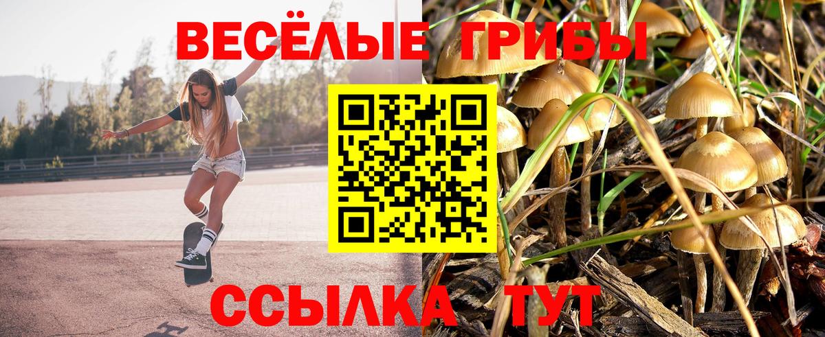 Галлюциногенные грибы Cubensis  Вход с VPN  Киселёвск 